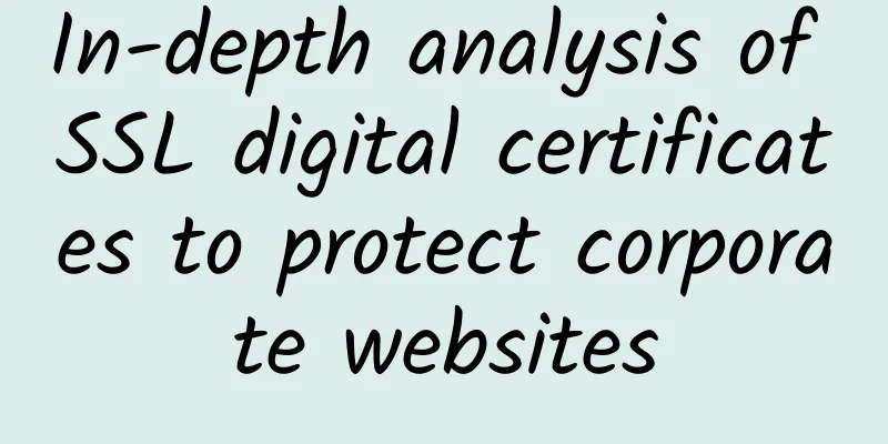 In-depth analysis of SSL digital certificates to protect corporate websites