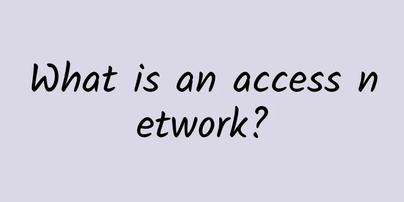 What is an access network?