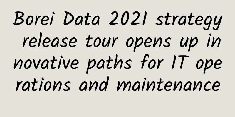 Borei Data 2021 strategy release tour opens up innovative paths for IT operations and maintenance