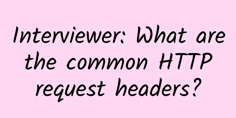 Interviewer: What are the common HTTP request headers?