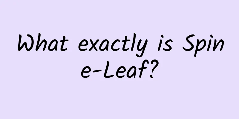 What exactly is Spine-Leaf?