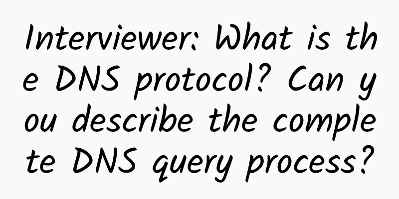 Interviewer: What is the DNS protocol? Can you describe the complete DNS query process?