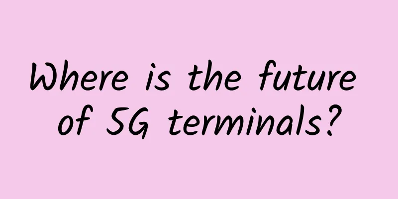 Where is the future of 5G terminals?