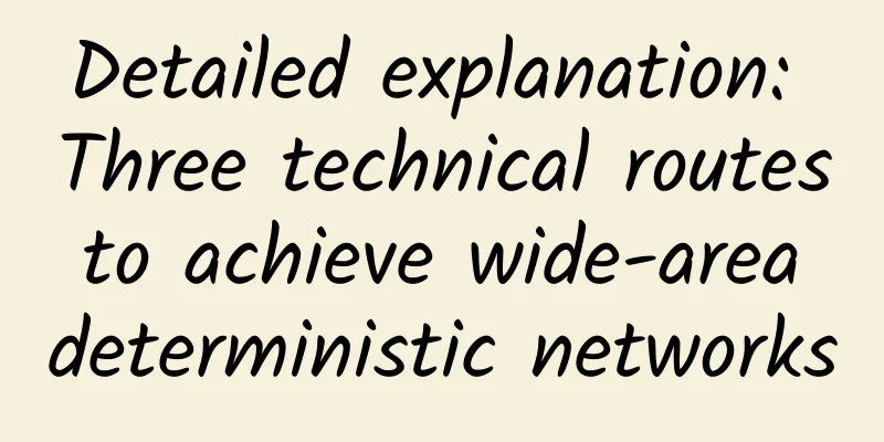 Detailed explanation: Three technical routes to achieve wide-area deterministic networks