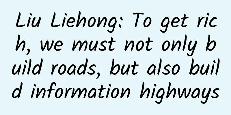 Liu Liehong: To get rich, we must not only build roads, but also build information highways