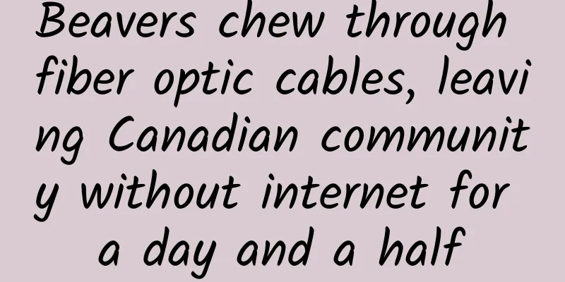 Beavers chew through fiber optic cables, leaving Canadian community without internet for a day and a half
