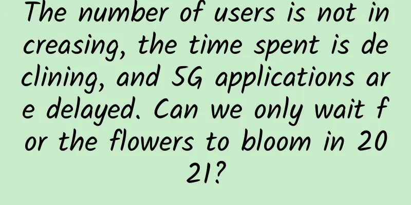 The number of users is not increasing, the time spent is declining, and 5G applications are delayed. Can we only wait for the flowers to bloom in 2021?