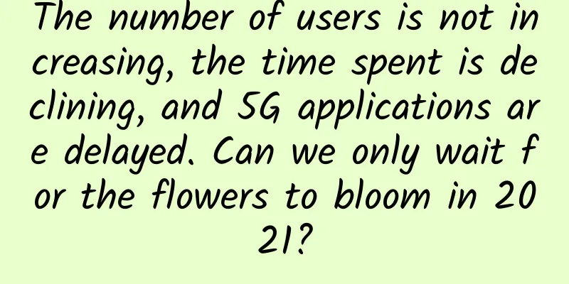 The number of users is not increasing, the time spent is declining, and 5G applications are delayed. Can we only wait for the flowers to bloom in 2021?