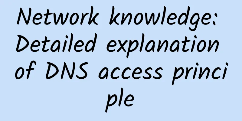 Network knowledge: Detailed explanation of DNS access principle