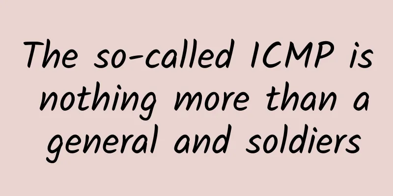 The so-called ICMP is nothing more than a general and soldiers