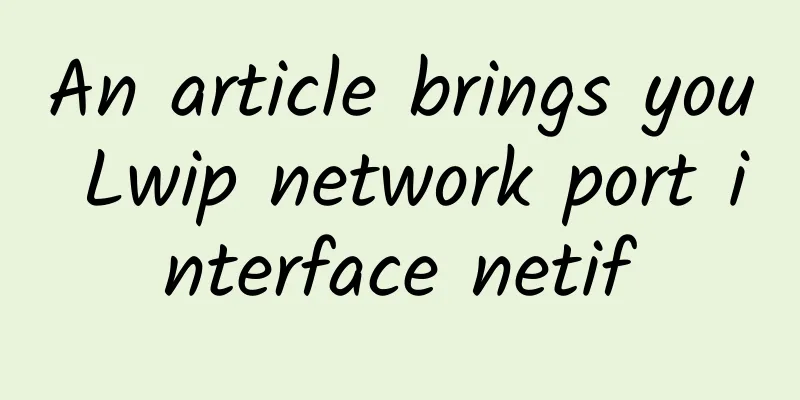 An article brings you Lwip network port interface netif