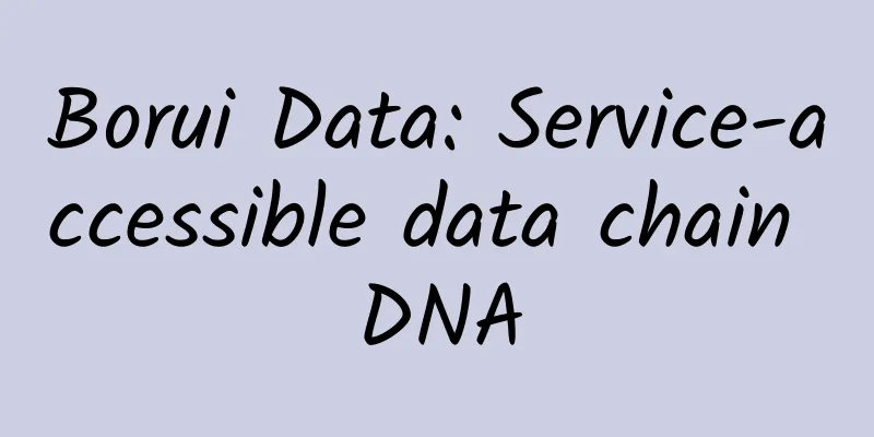 Borui Data: Service-accessible data chain DNA