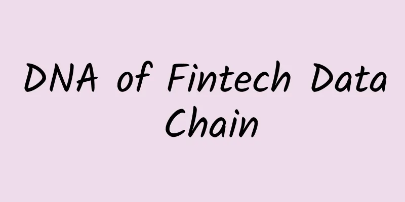 DNA of Fintech Data Chain
