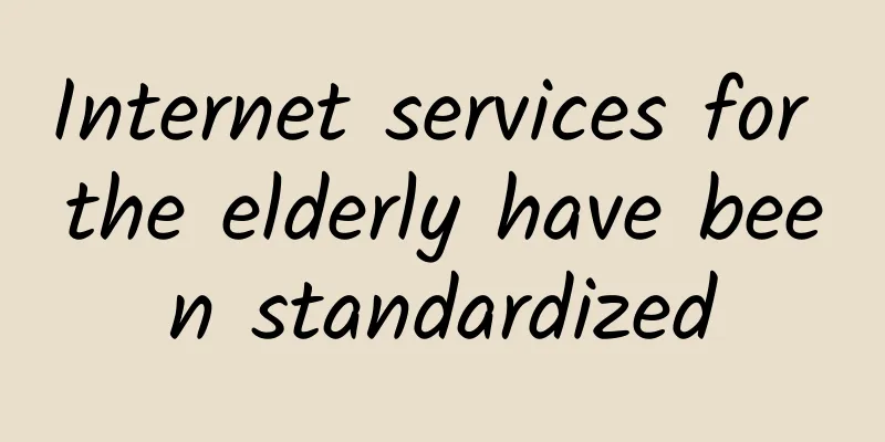 Internet services for the elderly have been standardized