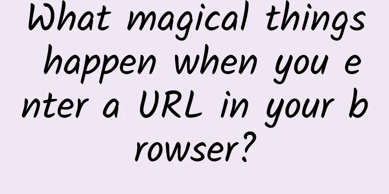 What magical things happen when you enter a URL in your browser?