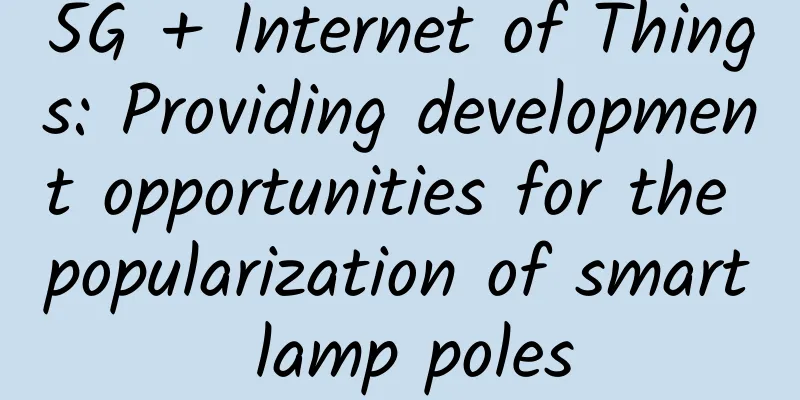 5G + Internet of Things: Providing development opportunities for the popularization of smart lamp poles