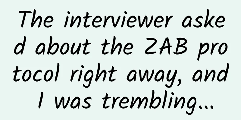 The interviewer asked about the ZAB protocol right away, and I was trembling...