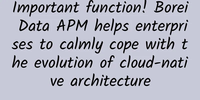 Important function! Borei Data APM helps enterprises to calmly cope with the evolution of cloud-native architecture
