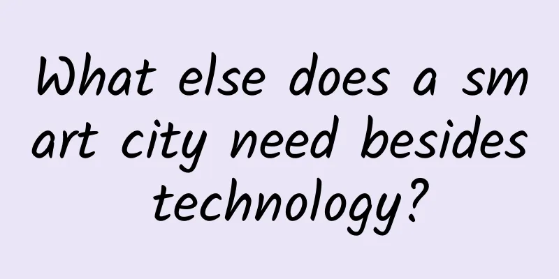 What else does a smart city need besides technology?