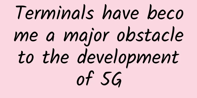 Terminals have become a major obstacle to the development of 5G