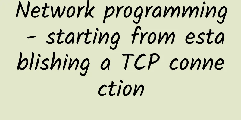 Network programming - starting from establishing a TCP connection