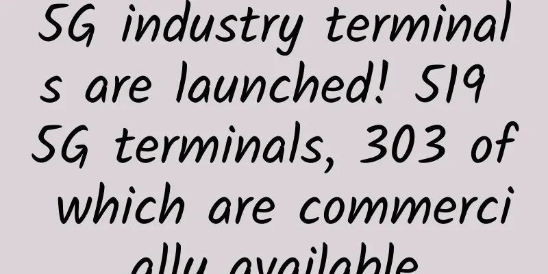 5G industry terminals are launched! 519 5G terminals, 303 of which are commercially available