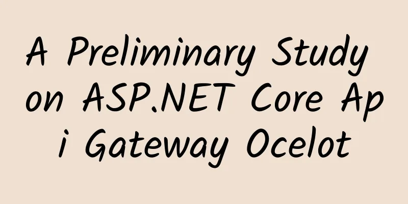 A Preliminary Study on ASP.NET Core Api Gateway Ocelot