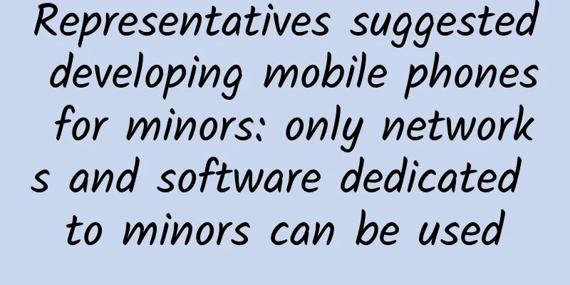 Representatives suggested developing mobile phones for minors: only networks and software dedicated to minors can be used