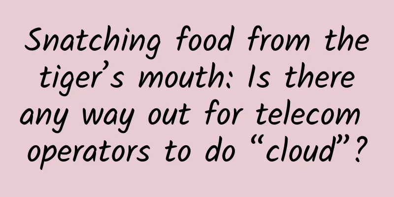 Snatching food from the tiger’s mouth: Is there any way out for telecom operators to do “cloud”?