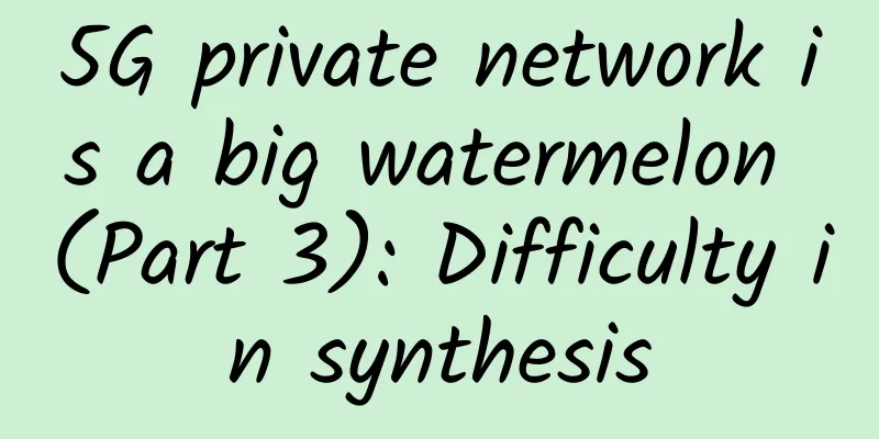 5G private network is a big watermelon (Part 3): Difficulty in synthesis