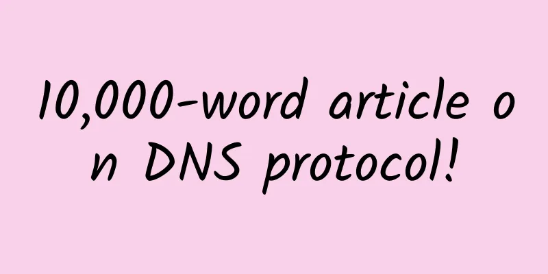 10,000-word article on DNS protocol!