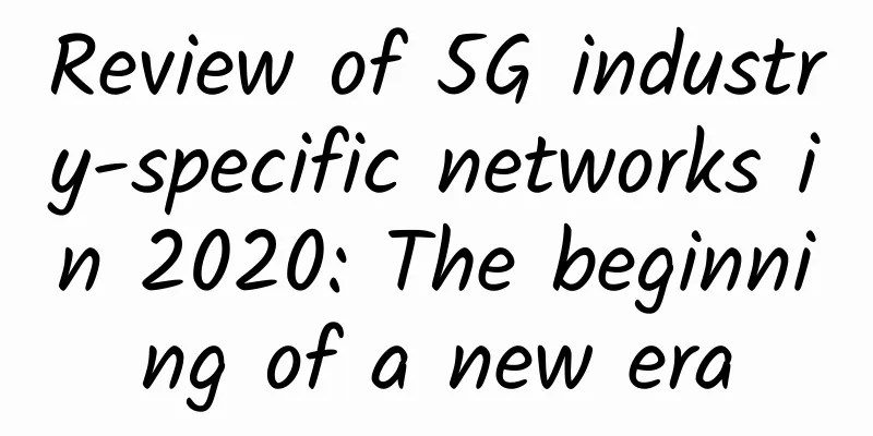 Review of 5G industry-specific networks in 2020: The beginning of a new era