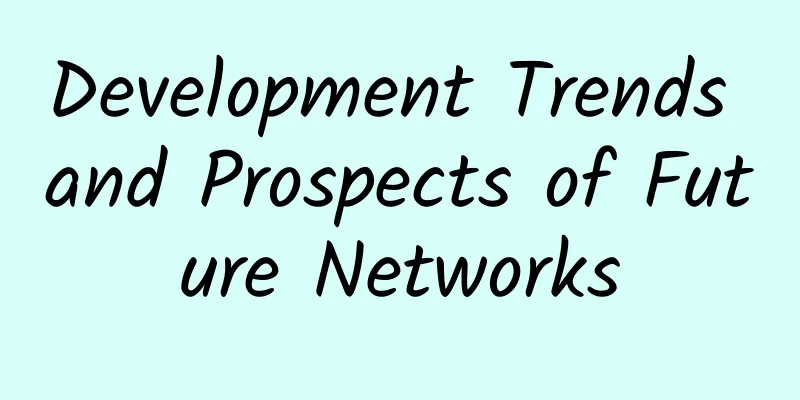 Development Trends and Prospects of Future Networks