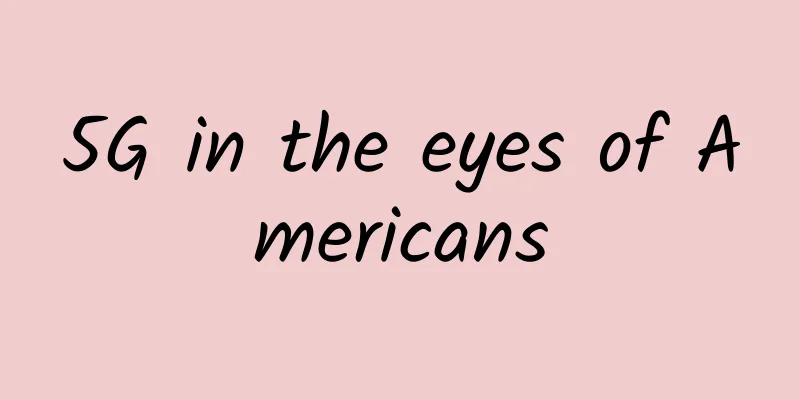 5G in the eyes of Americans