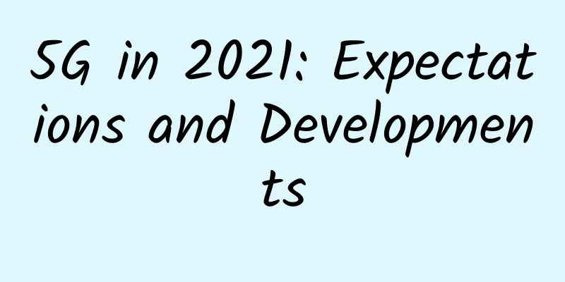 5G in 2021: Expectations and Developments