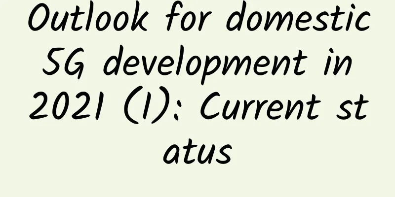 Outlook for domestic 5G development in 2021 (I): Current status