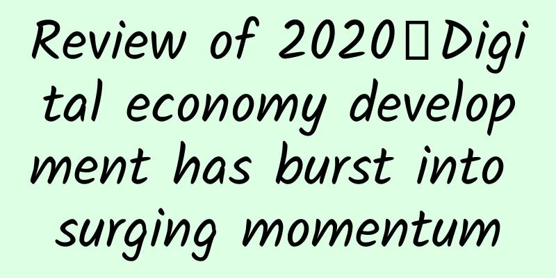 Review of 2020丨Digital economy development has burst into surging momentum