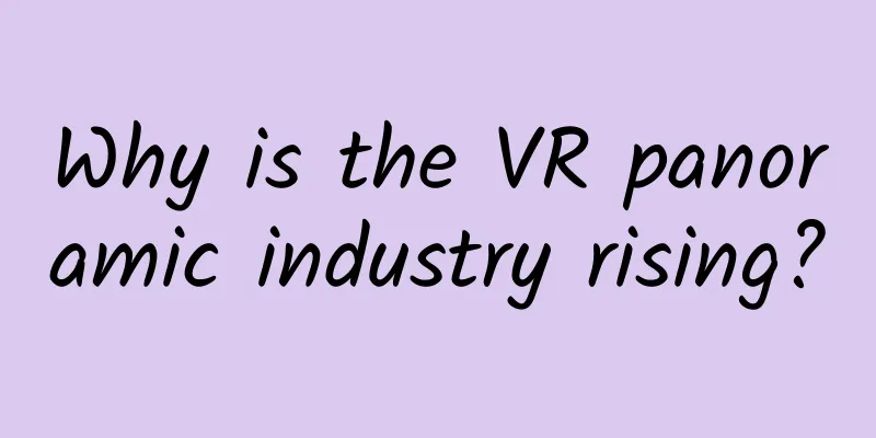 Why is the VR panoramic industry rising?