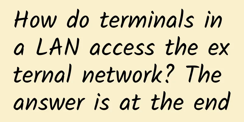 How do terminals in a LAN access the external network? The answer is at the end