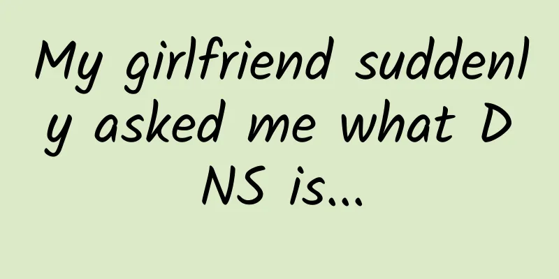 My girlfriend suddenly asked me what DNS is...
