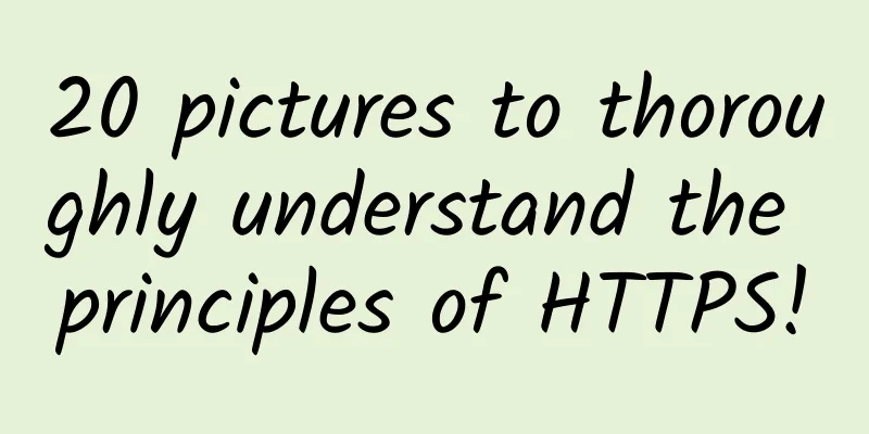 20 pictures to thoroughly understand the principles of HTTPS!