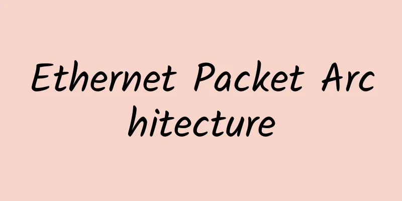 Ethernet Packet Architecture