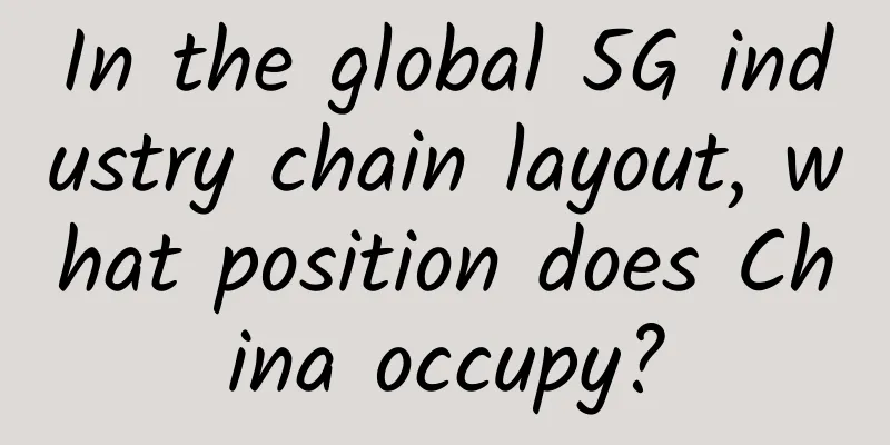 In the global 5G industry chain layout, what position does China occupy?