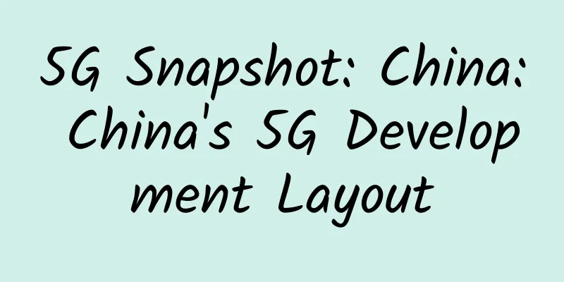 5G Snapshot: China: China's 5G Development Layout