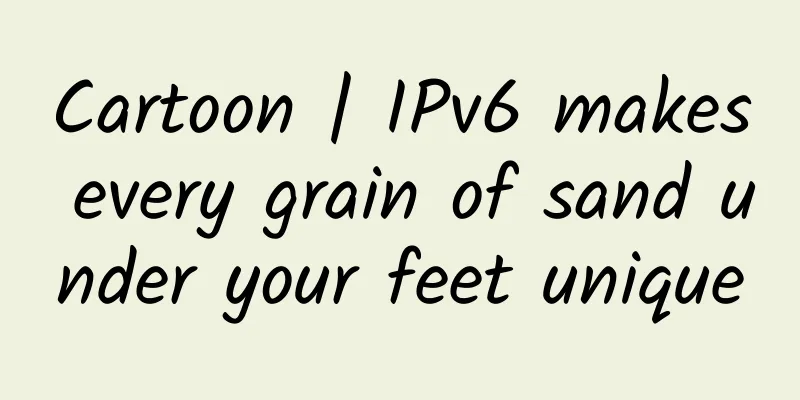 Cartoon | IPv6 makes every grain of sand under your feet unique