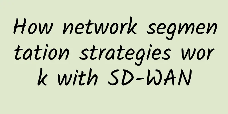 How network segmentation strategies work with SD-WAN