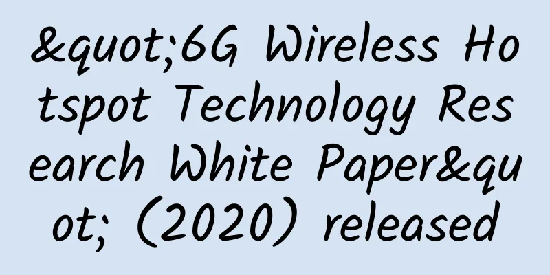 "6G Wireless Hotspot Technology Research White Paper" (2020) released