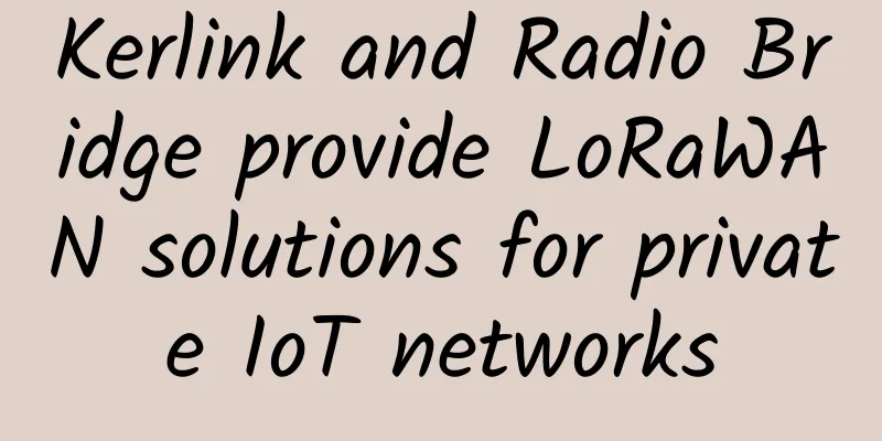 Kerlink and Radio Bridge provide LoRaWAN solutions for private IoT networks