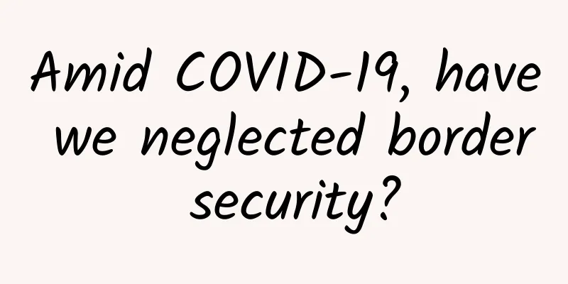 Amid COVID-19, have we neglected border security?