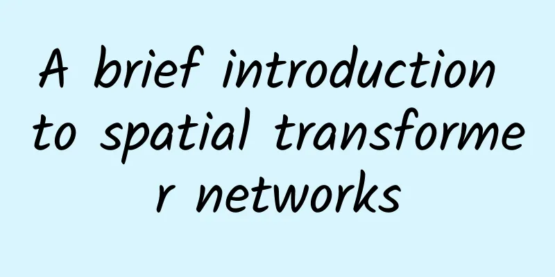 A brief introduction to spatial transformer networks